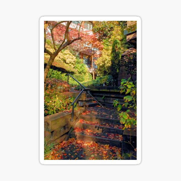 Item preview, Up from Home, Autumn, Vancouver BC designed and sold by Priscilla Turner.