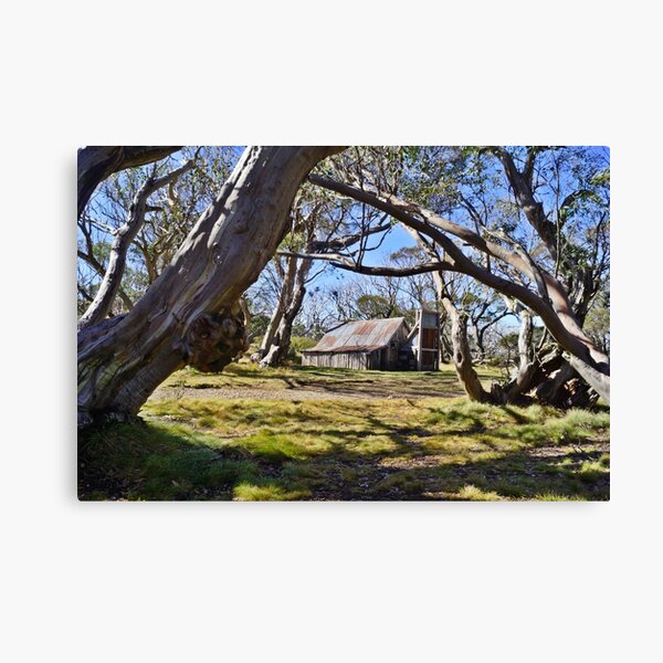 Item preview, Wallace's Hut - Blue Skies designed and sold by jessfleming.