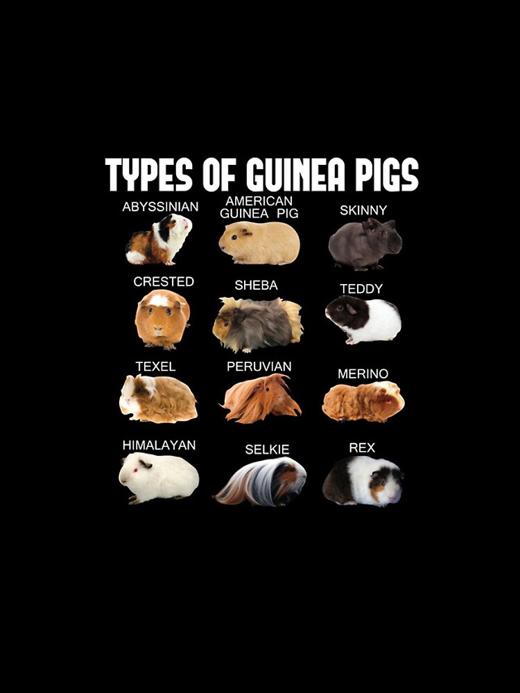 Imagen 4 de 4, Funda de iPhone con la obra Types Of Guinea Pigs Furry Potato Lover Kids Pet Guinea Pig Gear, diseñada y vendida por DynamicDesign.