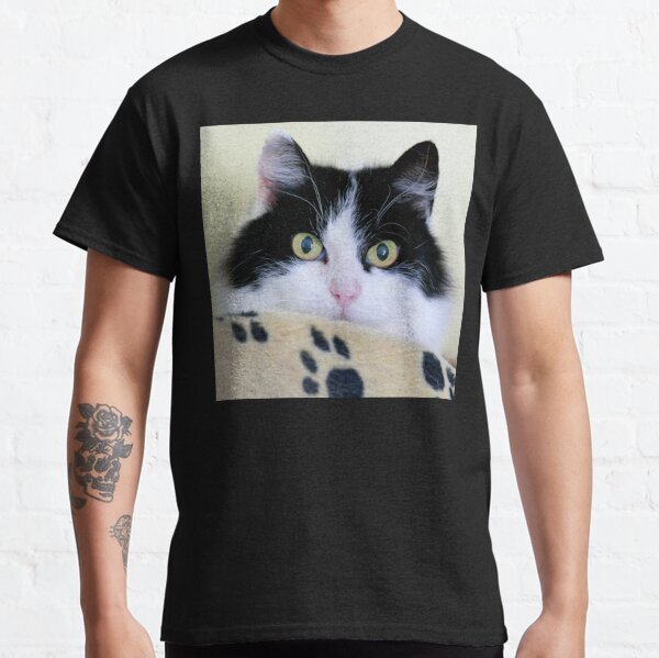 Cat t hot sale shirt nz