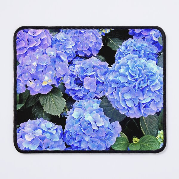 Item preview, Oh That Color! designed and sold by Susan Maxwell Schmidt.