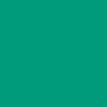 Imagen de la obra Paolo Veronese Green Plain color  de SolidColor