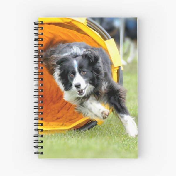 Item preview, Border Collie Through Tunnel designed and sold by AndreaEL.