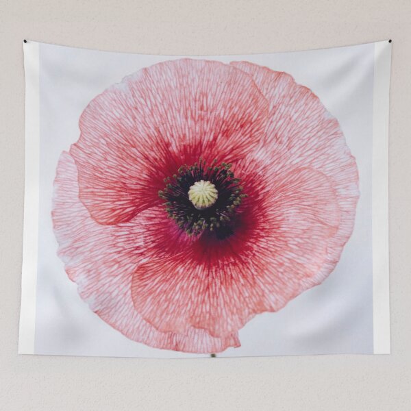 Aperçu de l'œuvre coquelicot créée et vendue par JD369.