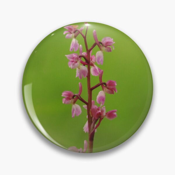 Item preview, Amazing orchids  designed and sold by miradorpictures.