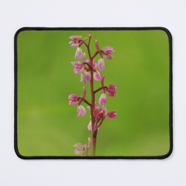 Item preview, Amazing orchids designed and sold by miradorpictures.