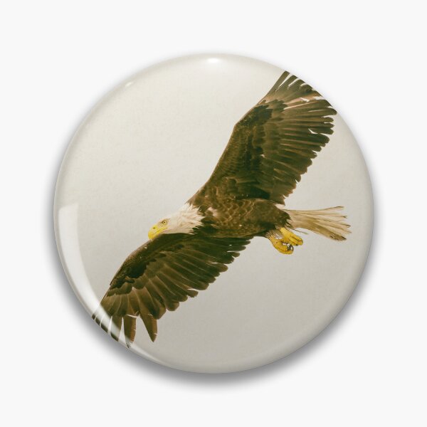 Item preview, Bald Eagle in Flight Seward Alaska designed and sold by PhotoArt by Joan Carroll.