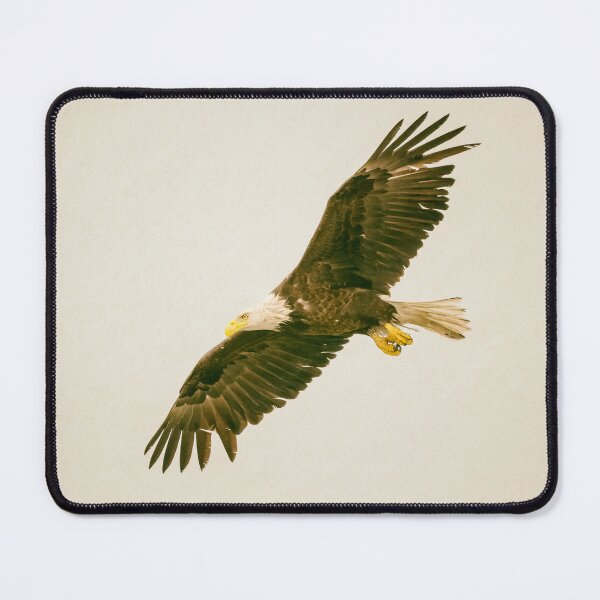 Item preview, Bald Eagle in Flight Seward Alaska designed and sold by PhotoArt by Joan Carroll.