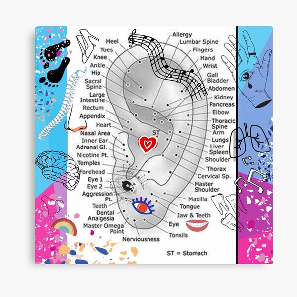 "Reflexology Pressure Points Ear Chart - Artistic Rendition" Canvas