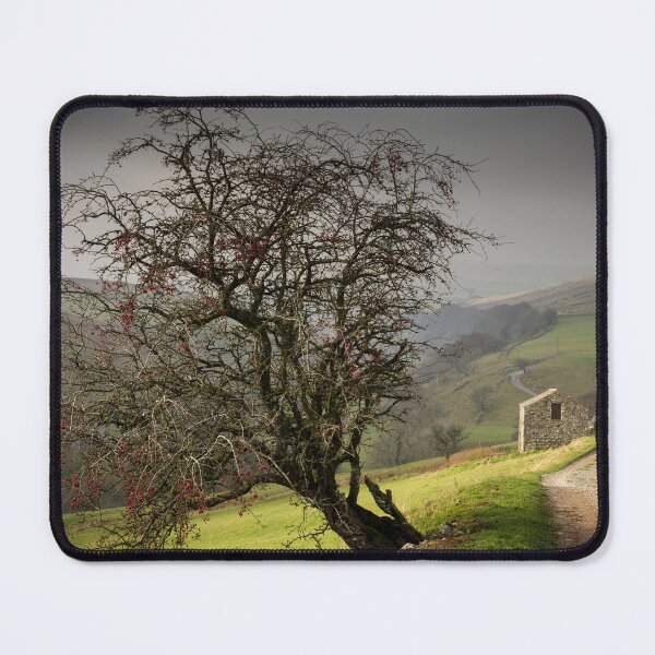 Item preview, Hawthorn Tree and Barn at Keld designed and sold by heidipics.