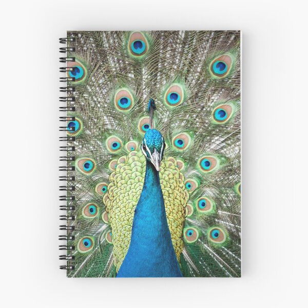 Item preview, Peacock designed and sold by Gary Devlin.