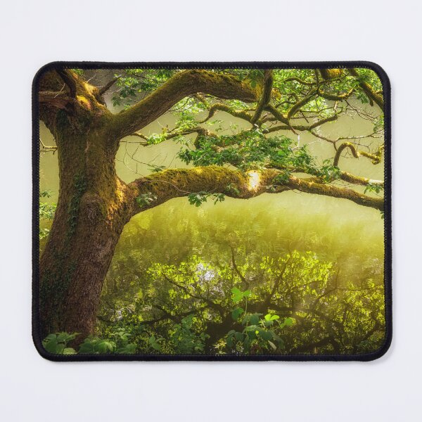 Item preview, The Magic Tree designed and sold by heidipics.
