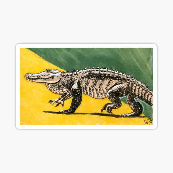 Crocodile Skin ***Starry Sky***Vinyl Wrap Sticker Exotic Wraps Snake Skin Croc 