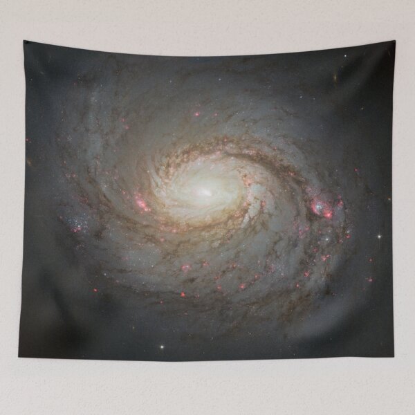 Item preview, Squid Galaxy (M77, NGC 1068) - Hubble image (constellation of Cetus) designed and sold by Raureif.