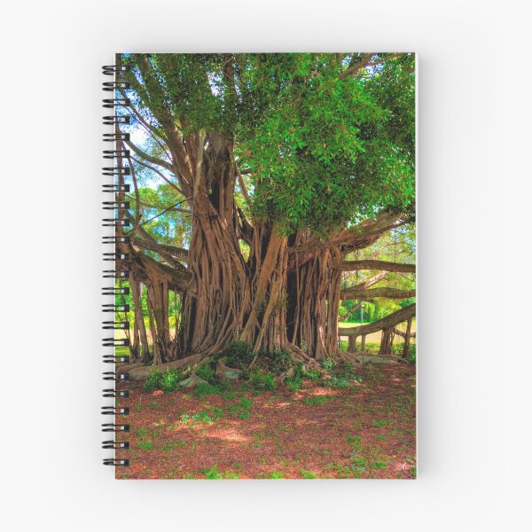 Item preview, The Tree of Knowledge designed and sold by Zzenco.