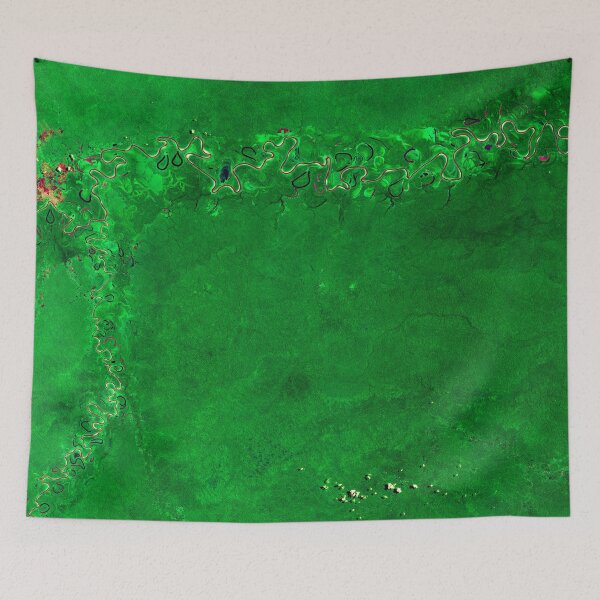 Item preview, Amazon rainforest from space designed and sold by Raureif.