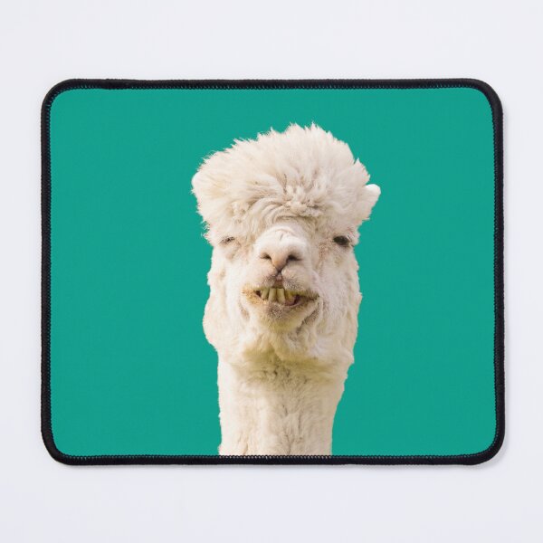 Item preview, Funny Alpaca Photography designed and sold by KarolinaPaz.