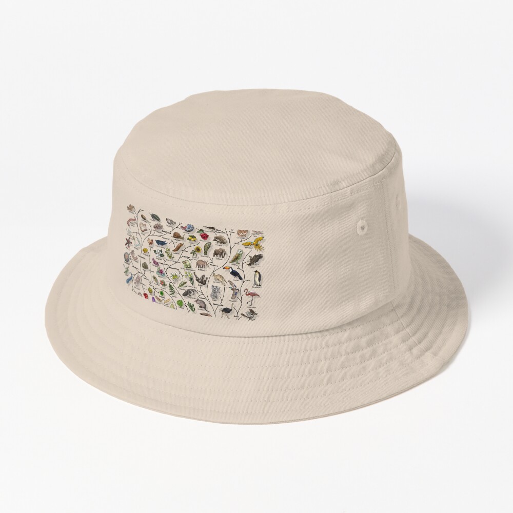 Item preview, Bucket Hat designed and sold by EvolutionPoster.