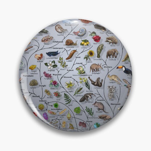 Item preview, Poster Albero della Vita - Evoluzione Animale e Vegetale - Italiano with Background designed and sold by EvolutionPoster.