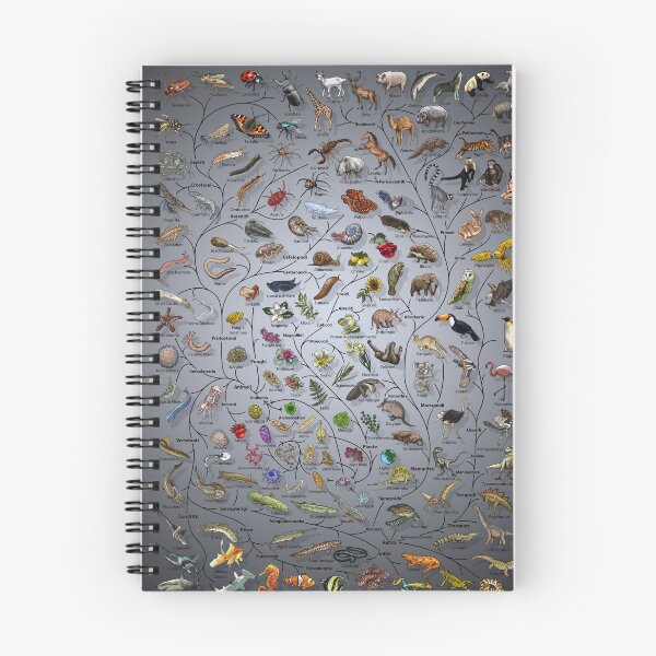 Item preview, Poster Albero della Vita - Evoluzione Animale e Vegetale - Italiano with Background designed and sold by EvolutionPoster.