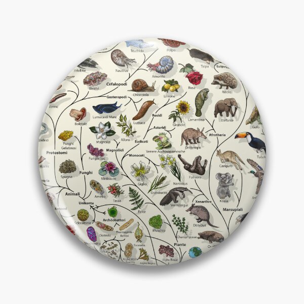 Item preview, Poster Albero della Vita - Evoluzione Animale e Vegetale - Italiano designed and sold by EvolutionPoster.
