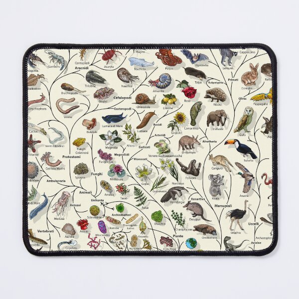 Item preview, Poster Albero della Vita - Evoluzione Animale e Vegetale - Italiano designed and sold by EvolutionPoster.