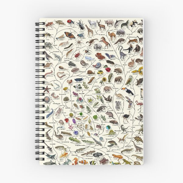 Item preview, Poster Albero della Vita - Evoluzione Animale e Vegetale - Italiano designed and sold by EvolutionPoster.