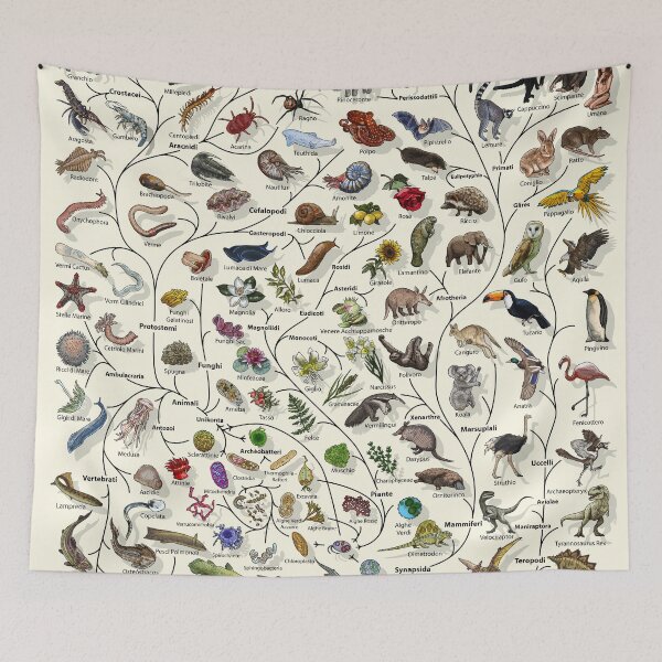 Item preview, Poster Albero della Vita - Evoluzione Animale e Vegetale - Italiano designed and sold by EvolutionPoster.