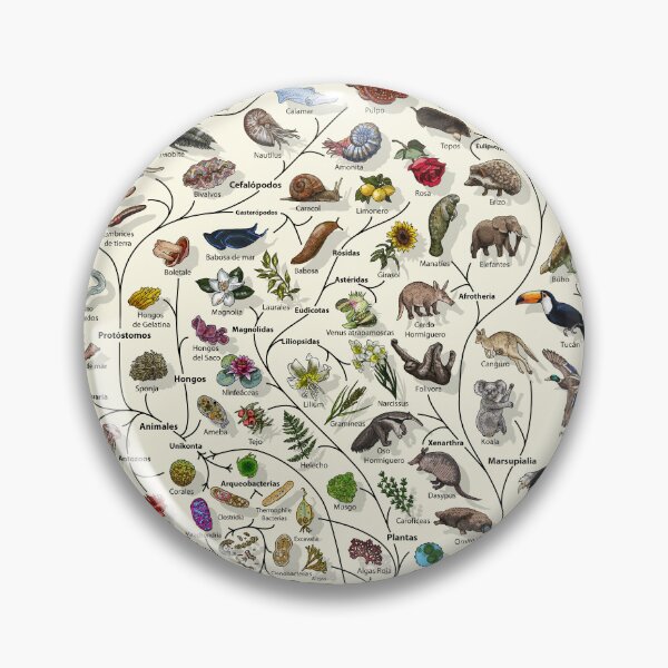 Item preview, Póster Árbol de la vida - Evolución animal y vegetal - Español designed and sold by EvolutionPoster.