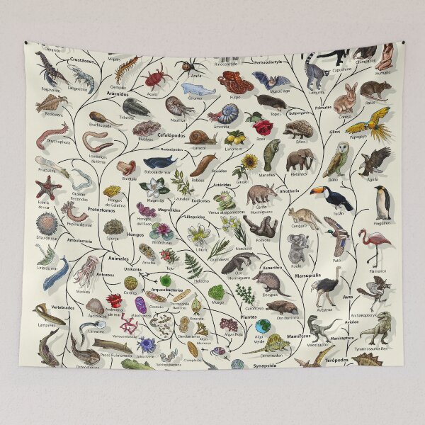 Item preview, Póster Árbol de la vida - Evolución animal y vegetal - Español designed and sold by EvolutionPoster.