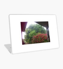 Sun Shower, Trees, Bougainvillea Tree, Laptop Skin