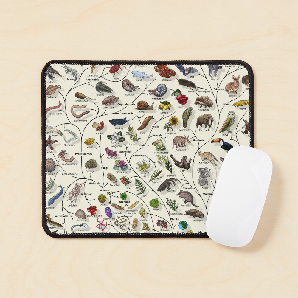 Item preview, Mouse Pad designed and sold by EvolutionPoster.