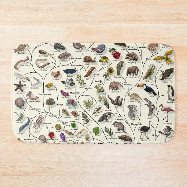 Item preview, Tree of Life Poster - Animal and Plant Evolution - English designed and sold by EvolutionPoster.