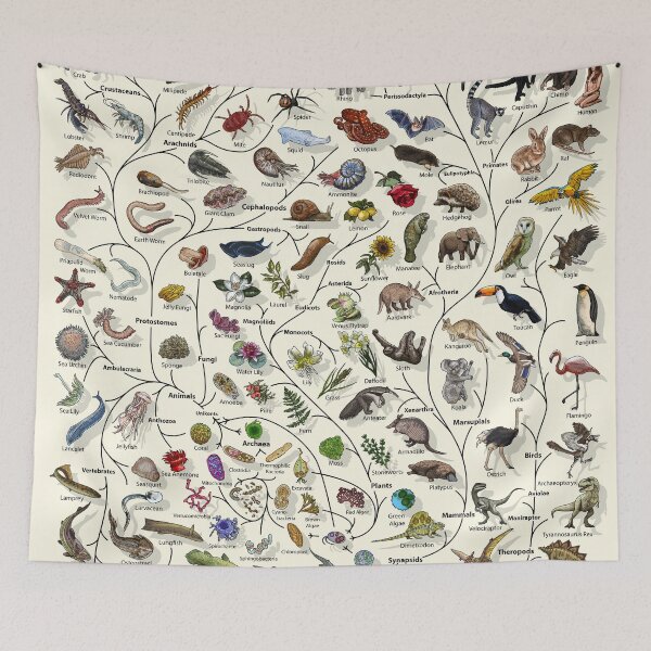Item preview, Tree of Life Poster - Animal and Plant Evolution - English designed and sold by EvolutionPoster.