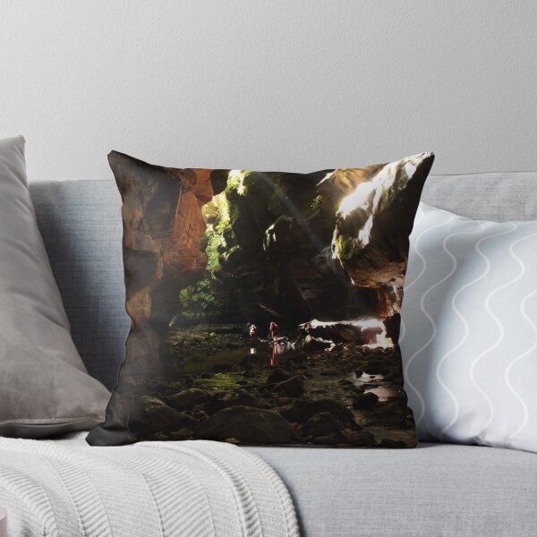 Item preview, Rocky Creek Canyon, Blue Mountains, NSW, Australia. designed and sold by Andy Newman.
