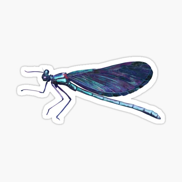 Beautiful Demoiselle - Minimalistic Blue Sticker