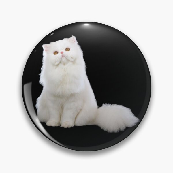 Item preview, Beautiful Shirazi Persian Cat designed and sold by MiarCo.