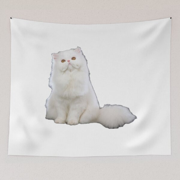 Item preview, Beautiful Shirazi Persian Cat designed and sold by MiarCo.