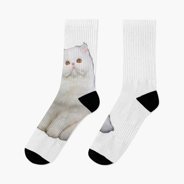 Item preview, Beautiful Shirazi Persian Cat designed and sold by MiarCo.