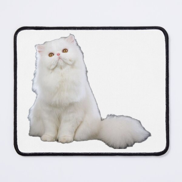 Item preview, Beautiful Shirazi Persian Cat designed and sold by MiarCo.