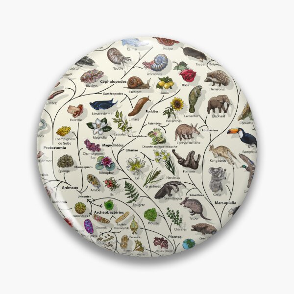 Item preview, Affiche Arbre de Vie - Évolution animale et végétale - Français designed and sold by EvolutionPoster.