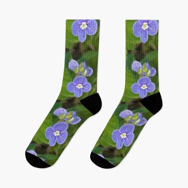Item preview, Speedwell  designed and sold by amanda150771.