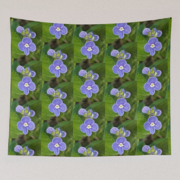 Item preview, Speedwell  designed and sold by amanda150771.