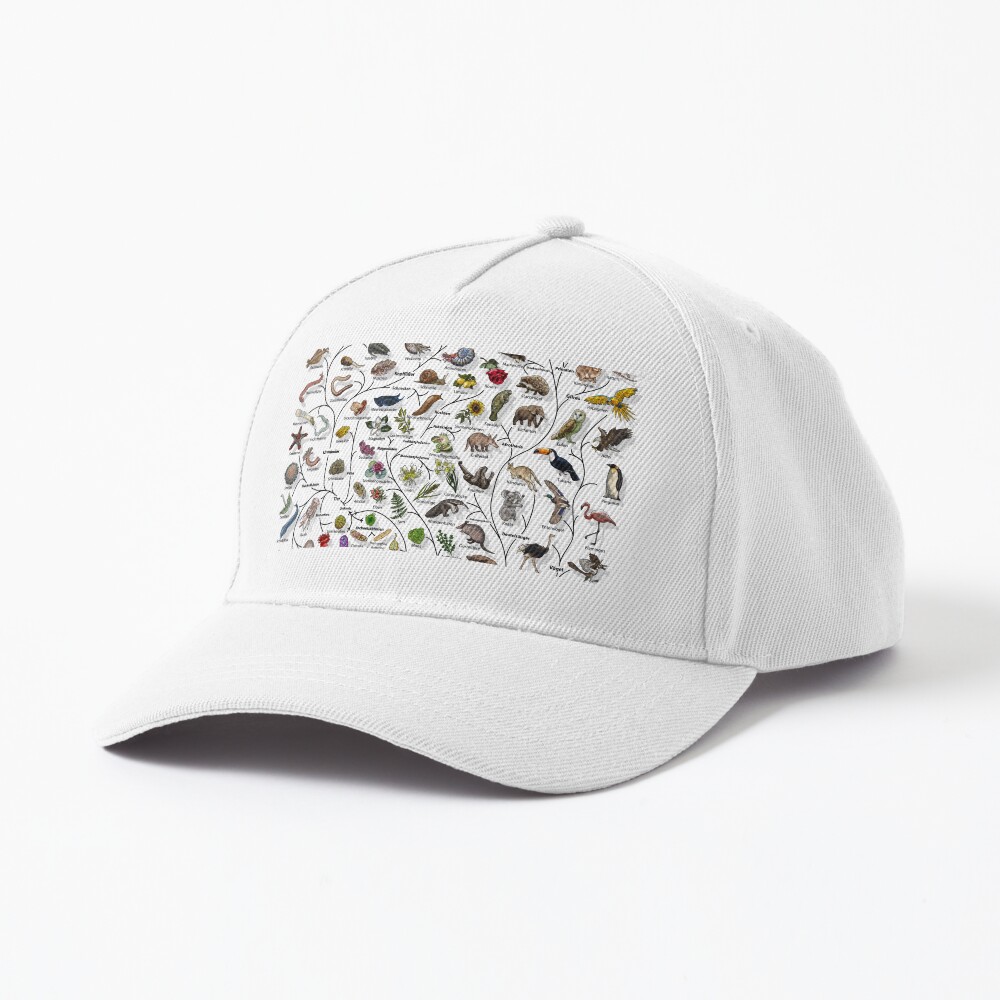 Item preview, Baseball Cap designed and sold by EvolutionPoster.