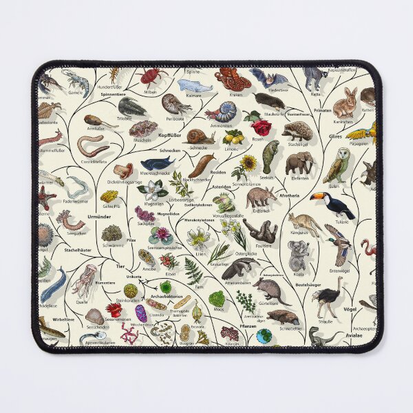 Item preview, Baum des Lebens Poster - Tier und Pflanze Evolution - Deutsche designed and sold by EvolutionPoster.