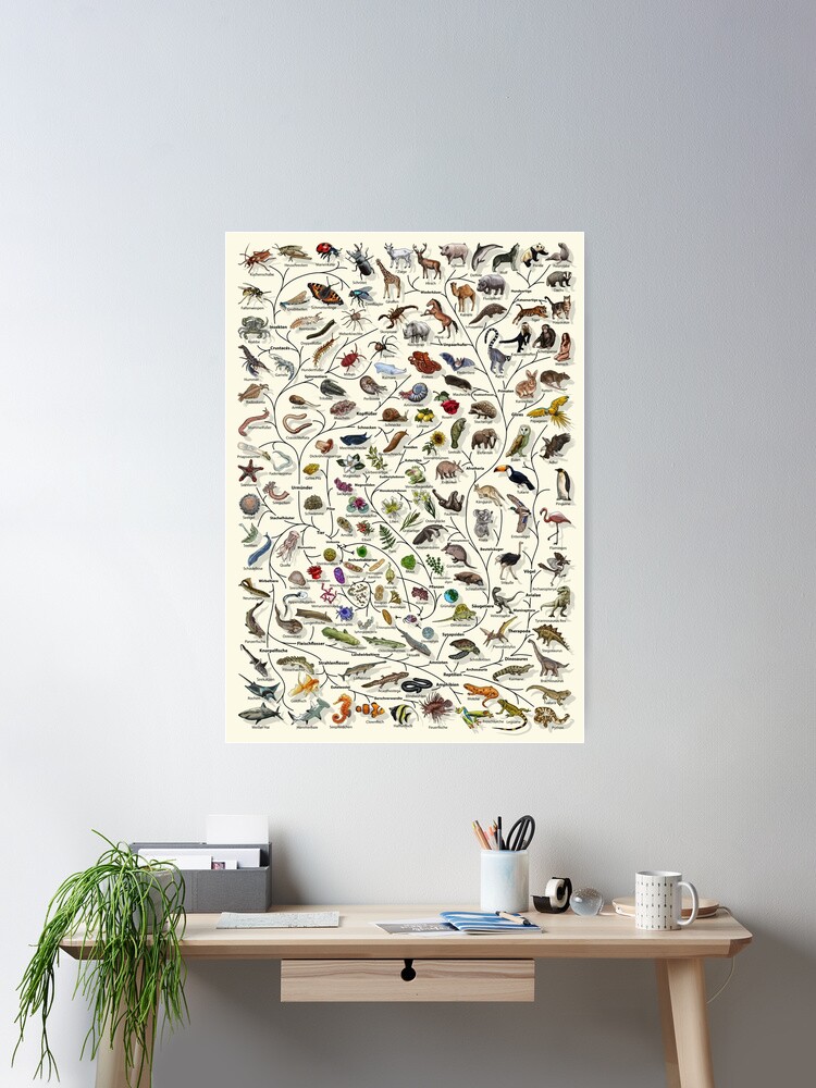Thumbnail 1 of 3, Poster, Baum des Lebens Poster - Tier und Pflanze Evolution - Deutsche designed and sold by EvolutionPoster.