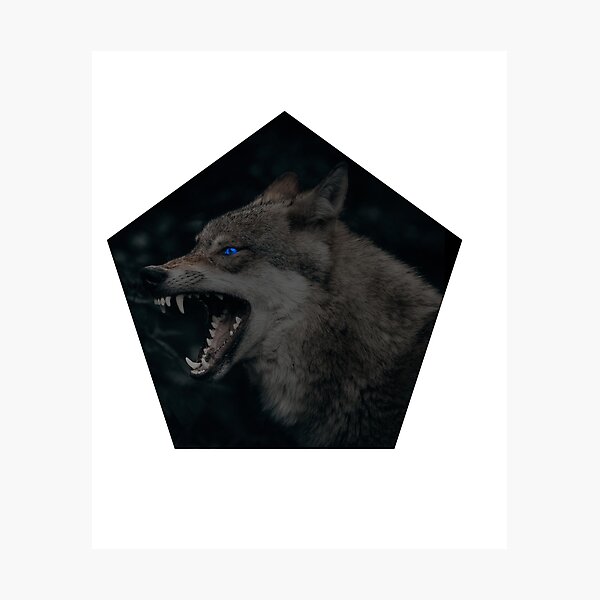 "Black Wolf With Blue Eyes" Photographic Print for Sale by ImDamian