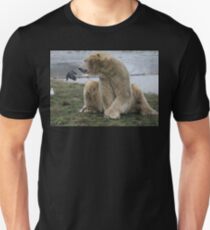 The Birds and the Bear Unisex T-Shirt