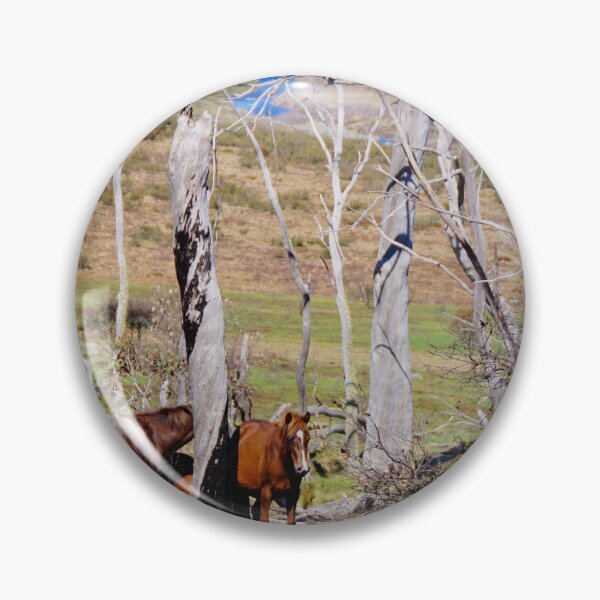 Item preview, The Brumbies  designed and sold by D-GaP.