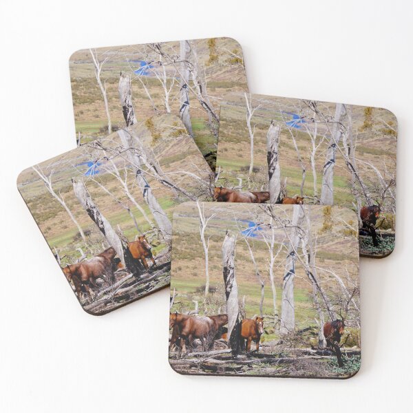 Item preview, The Brumbies  designed and sold by D-GaP.